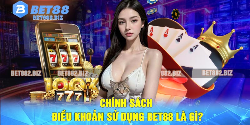 Chính Sách Điều Khoản Sử Dụng BET88 Là Gì?